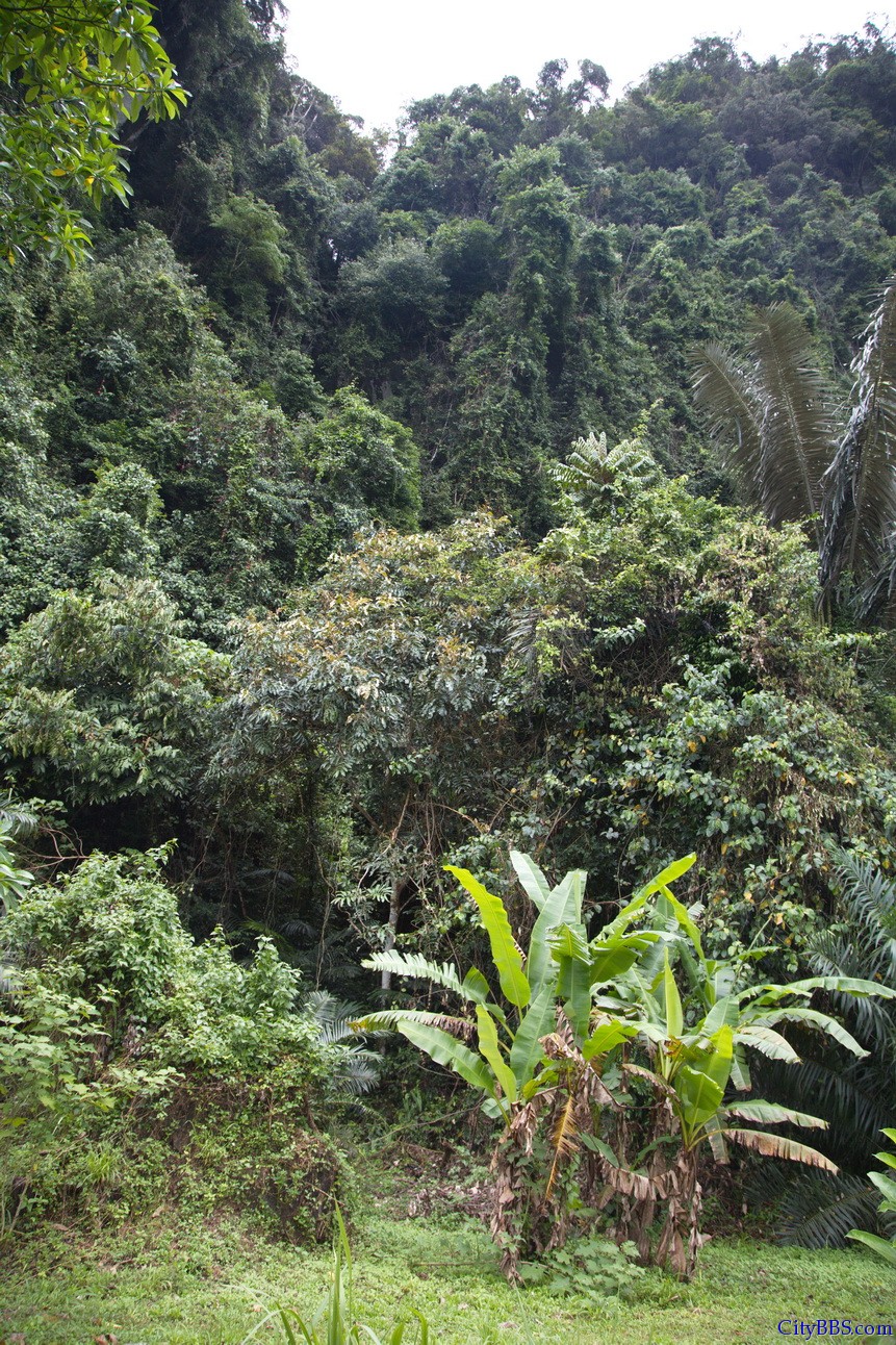 Krabi__18.jpg