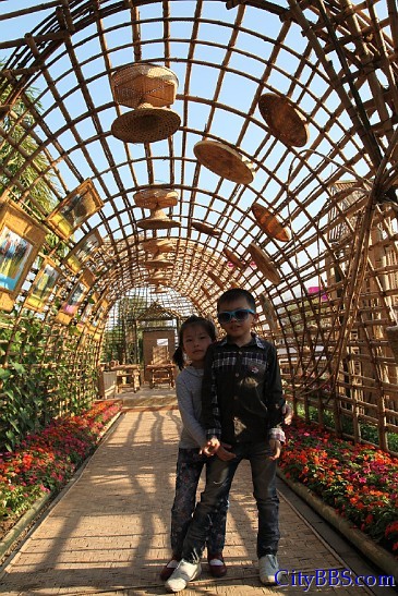 ChiangMai_Royal_Flower_Flora