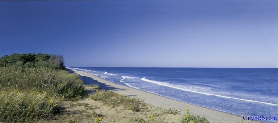海岸警卫队海滩（Coast Guard Beach）