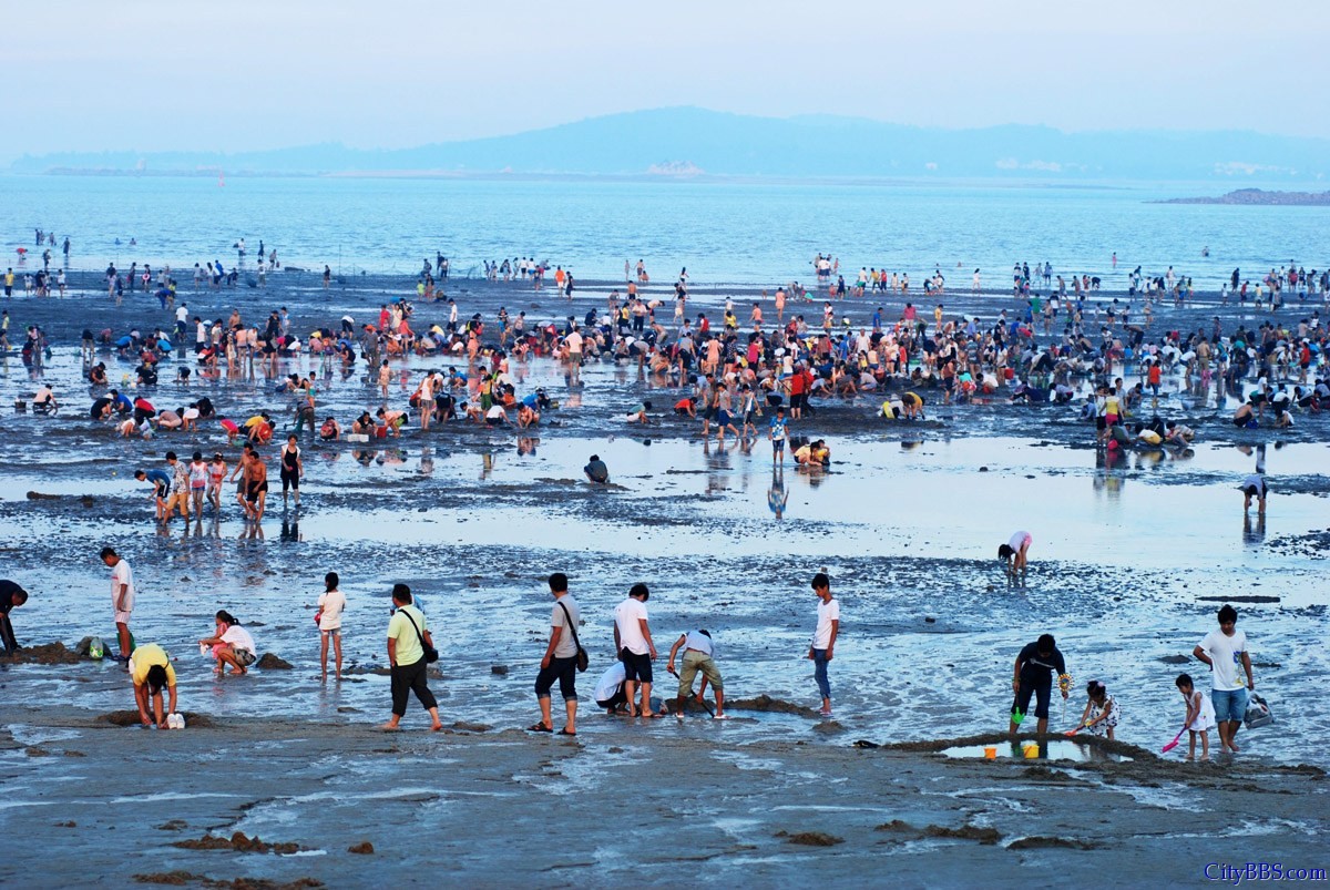 厦门“大潮”退去露出大片海滩引千人赶海