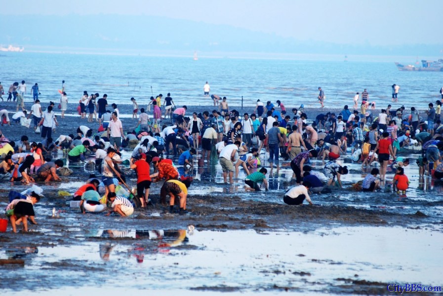 厦门“大潮”退去露出大片海滩引千人赶海