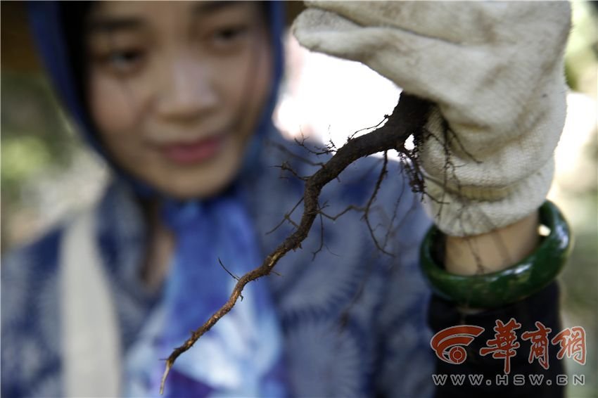 夫妻俩毕业后终南山安家 享受慢生活