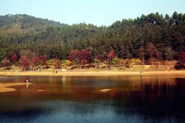 同居式养老抱团养老模式在美国德国备受追捧