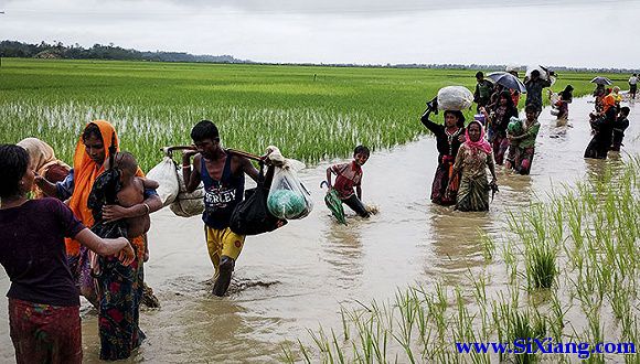 缅甸暴乱近400人死亡罗兴亚族再次上演大逃亡