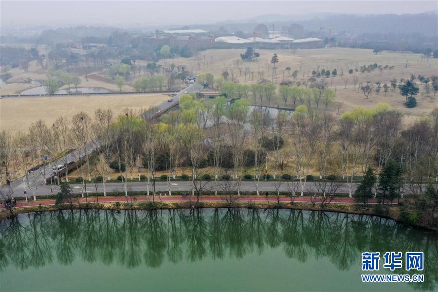 串联城市自然山水人文 共享生态文明建设成果——我国绿道建设发展综述