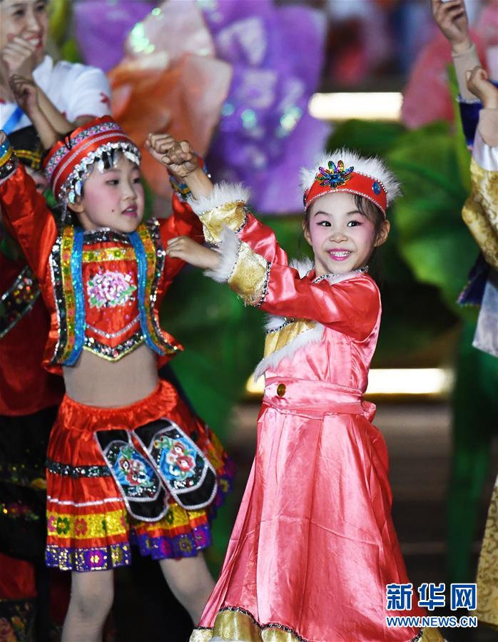 庆祝中华人民共和国成立70周年联欢活动图集