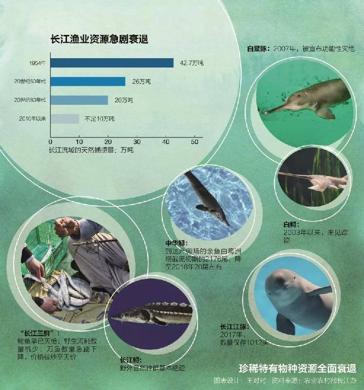 再不保护“四大家鱼”基因库，中国人将无鱼可吃2.jpg