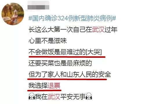 就在武汉封城前夜29.9万人逃离武汉奔向各地