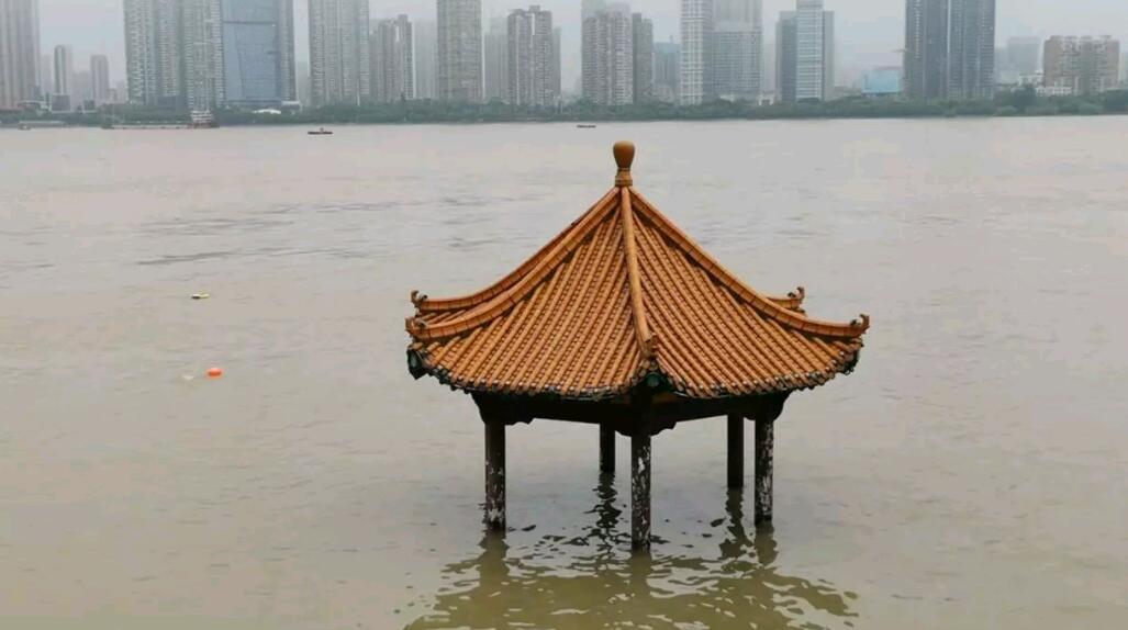 中国长江洪水已漫上武昌江边黄花叽亲水凉亭准台