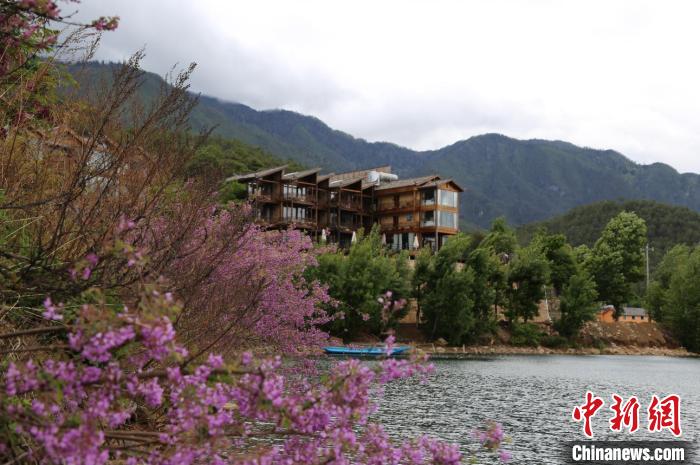 丽江发旅游诚信指导价提醒低于成本价有风险