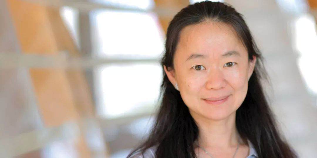 美女教授颜宁出走清华赴美第三年后又获大奖2.jpg