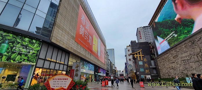 2020_Nov_ChengDu_ (4).JPG