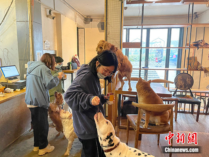 长沙一家萌宠咖吸引女青年们