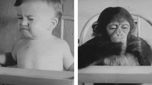 测试两个孩子.gif