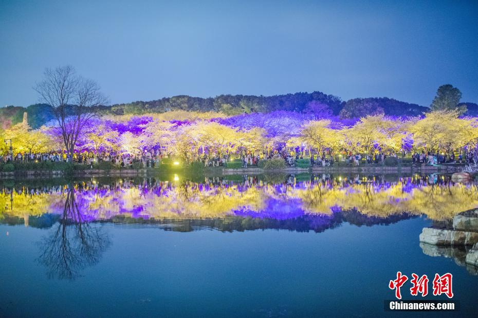 夜色下的武汉东湖樱花园美仑美奂(5/5)"← →"翻页查看图片列表查看原图  夜色下的武汉东湖樱花园美仑美奂 2 ...
