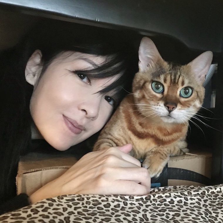 53岁女神周慧敏靠5招冻龄！坚持不打针整容