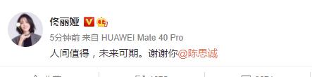 陈思诚宣布与佟丽娅离婚