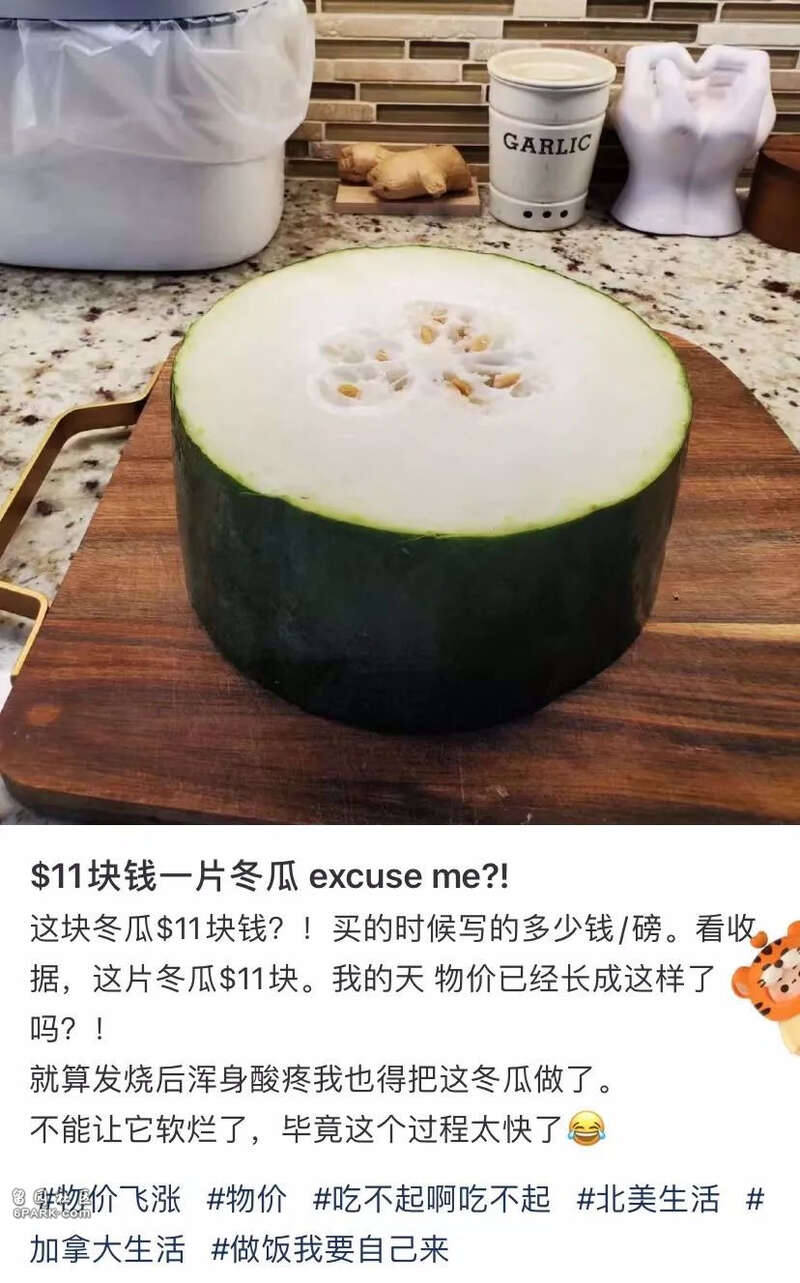 冬瓜.jpg