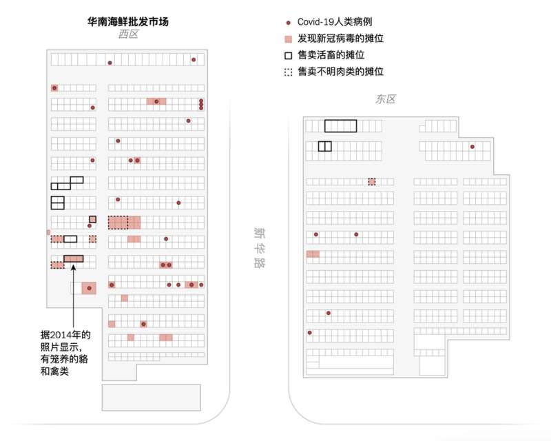 武汉华南海鲜市场卫星图