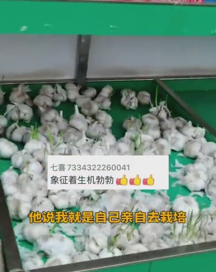 封城30天的吉林省长春市近日解封