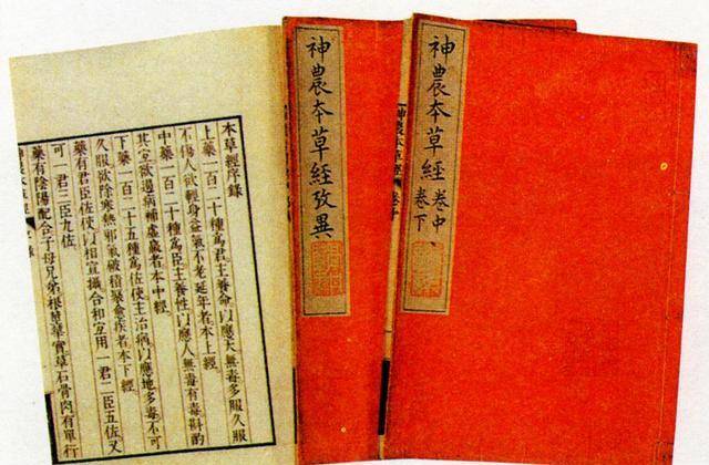 《本草纲目》