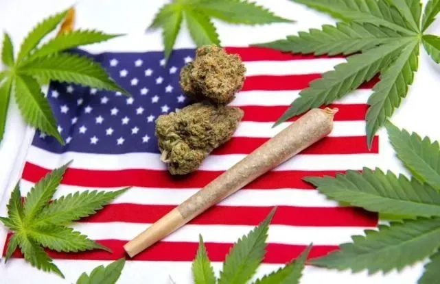 华人夫妇汇往中国上亿美元客户多是种大麻的