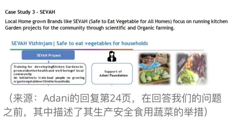 怎样鼓励女性创业和生产可安全食用的蔬菜