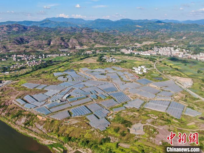 航拍江西赣州宁都县的千亩大棚蔬菜基地