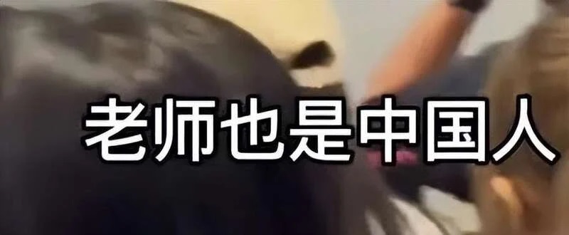 金融管理这样的商科专业里中国人占比70%以上