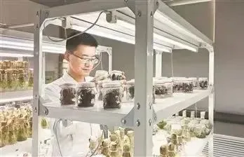 一些课题组确实对科研助理存在“刚需”
