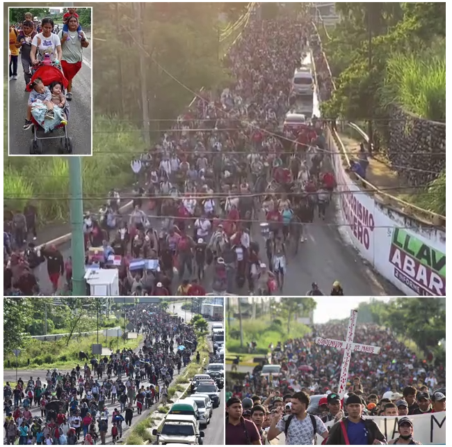 60万人入境美国扛不住了规模最大的一次来了