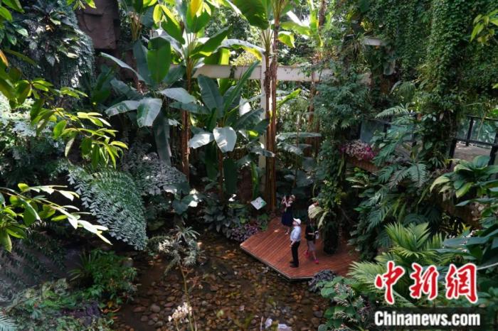 走进中科院昆明植物研究所“扶荔宫”参观