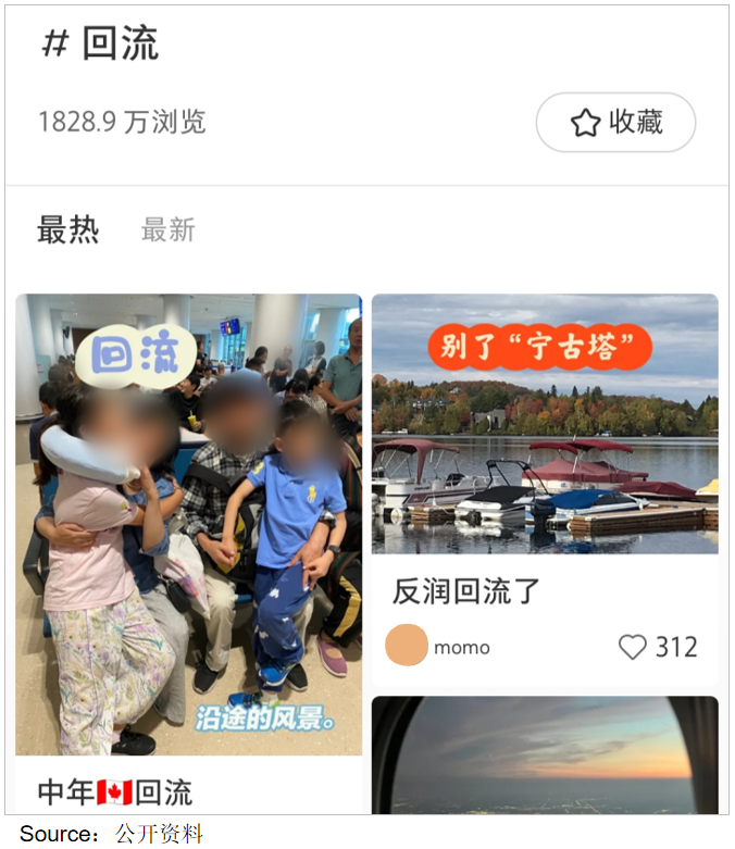 不少移民也在反润回流.jpg