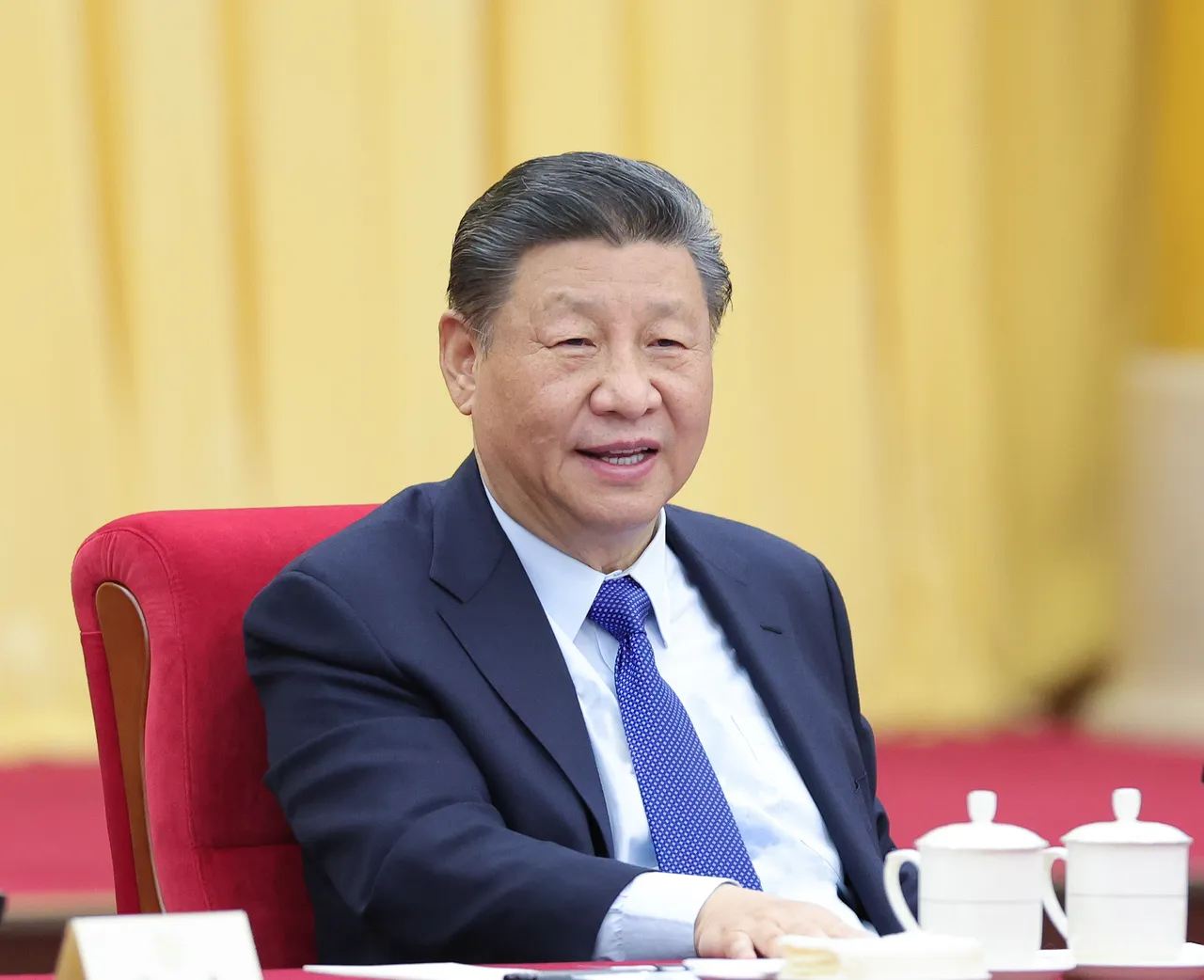 习近平出席“两会”会议