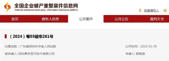 柔宇科技目前有20余条被执行人信息