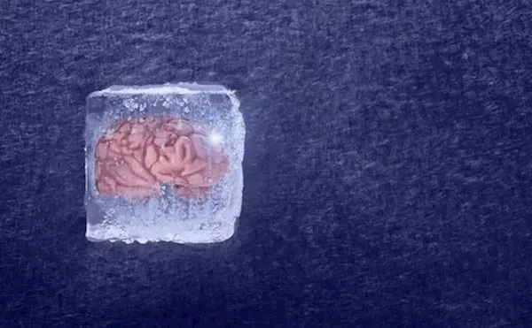 邵志成博士团队发明了全新的冷冻保存方法(MEDY)