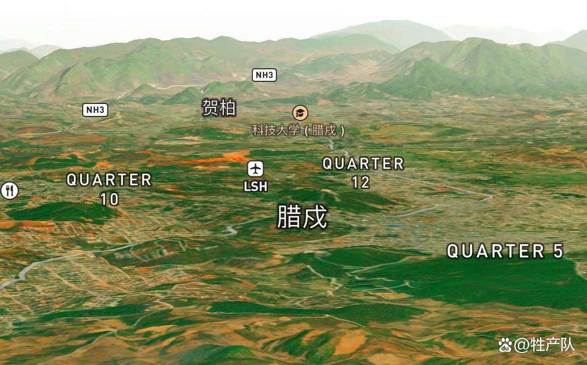果敢同盟军闪电般地攻破了腊戍