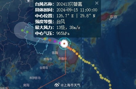 贝碧嘉台风已登陆上海浦东