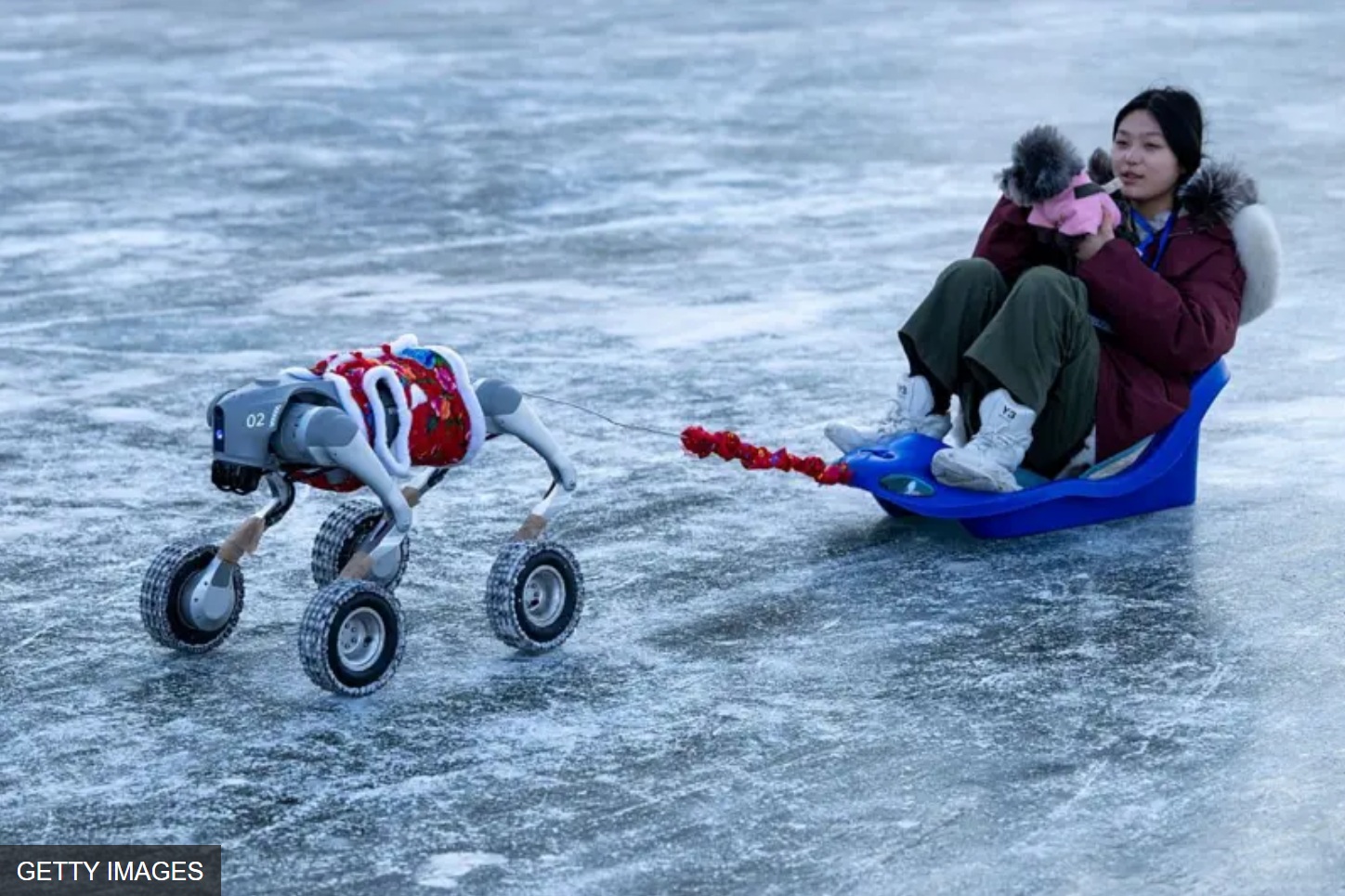 女生乘坐由机器人拉动的雪橇